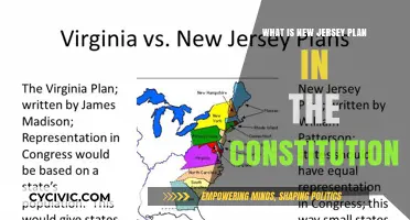 The New Jersey Plan: A Constitutional Compromise