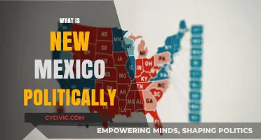 New Mexico's Political Landscape: Trends, Divisions, and Key Issues Explained