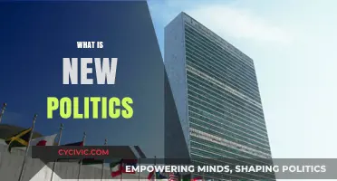 Redefining Governance: Understanding the Core of New Politics Today