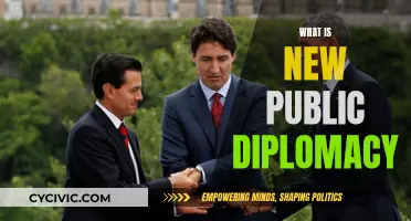 The Evolution of Public Diplomacy: New Strategies, New Era