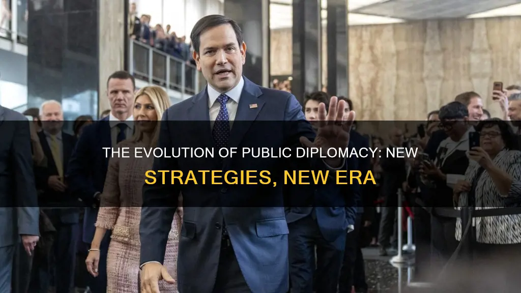 what is new public diplomacy