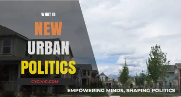 Exploring New Urban Politics: Trends, Challenges, and Future Directions