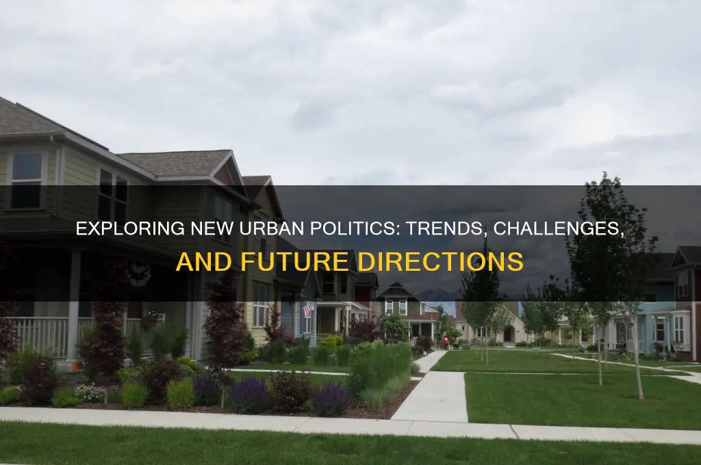 what is new urban politics