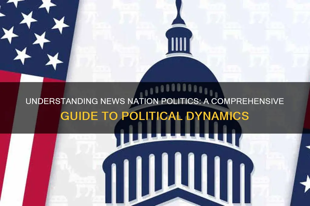 what is news nation politics