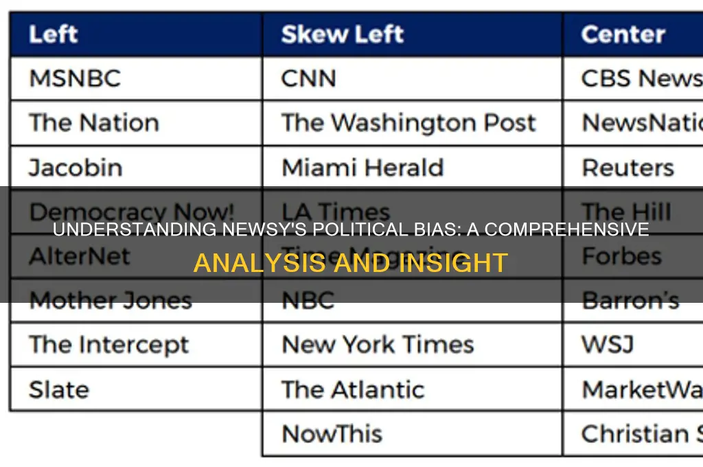 what is newsy political bias