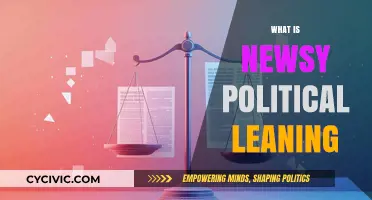 Understanding Newsy's Political Leaning: Unbiased or Partisan Reporting?