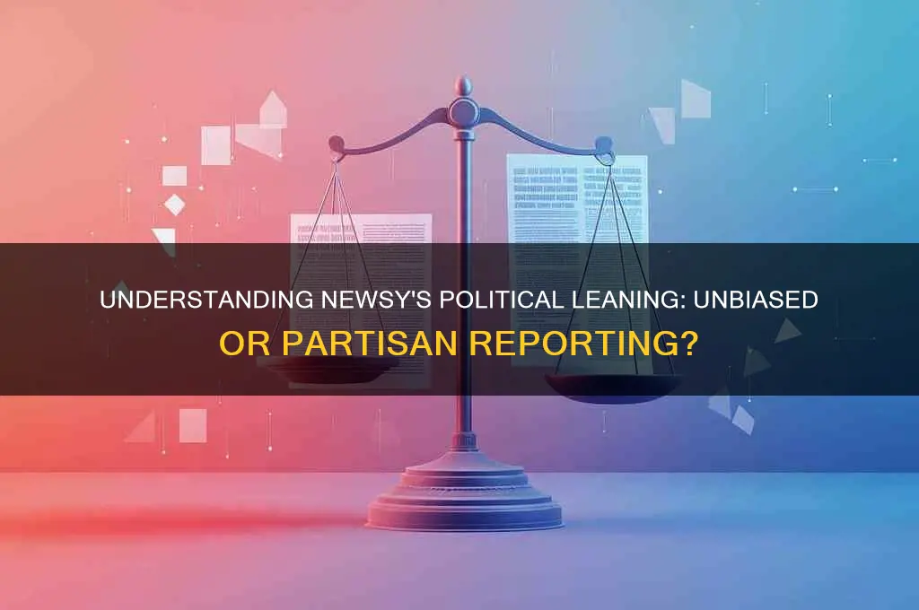 what is newsy political leaning