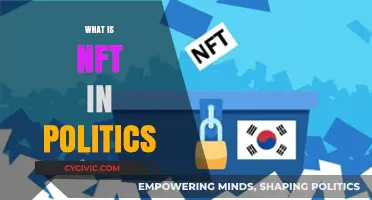 NFTs in Politics: Revolutionizing Campaign Funding and Civic Engagement