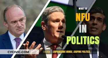 Understanding NFU: Its Role and Impact in Modern Political Strategies
