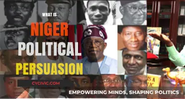 Understanding Nigeria's Political Landscape: Ideologies, Influences, and Persuasion