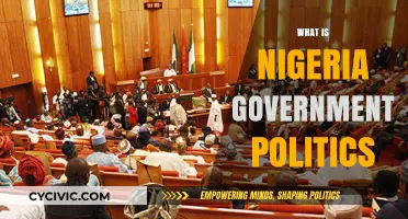 Understanding Nigeria's Government Politics: Structure, Challenges, and Opportunities