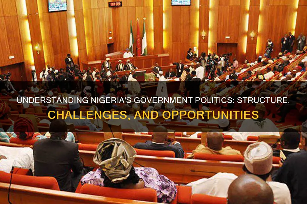 what is nigeria government politics