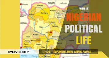 Understanding Nigeria's Political Landscape: Dynamics, Challenges, and Opportunities
