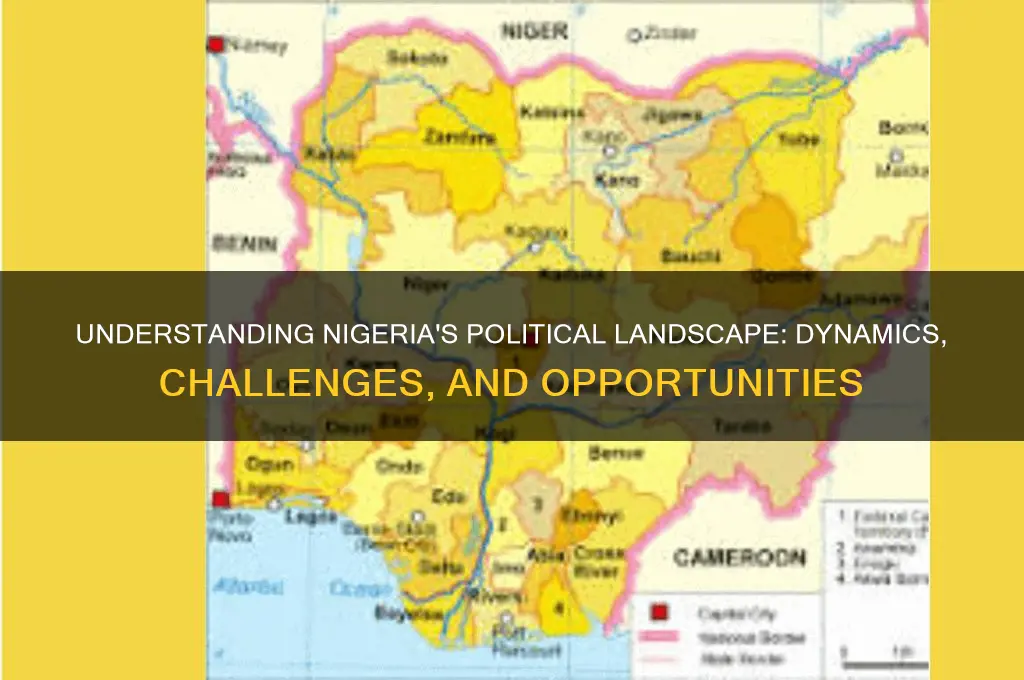 what is nigerian political life