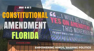 Constitutional Amendment No. 3: Florida's Voting Rights