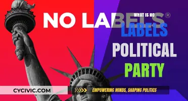 Understanding the No Labels Political Party: A Centrist Movement Explained