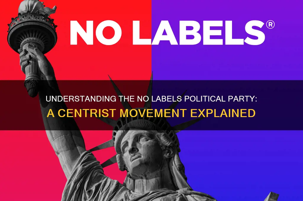 what is no labels political party