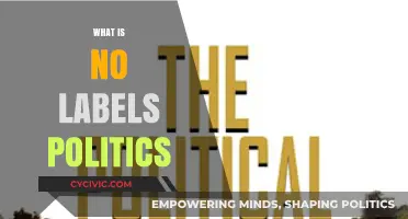 Understanding No Labels Politics: A Centrist Approach to Governance