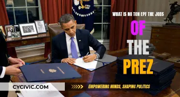 The President's Role: Understanding No-Show Jobs and EPF