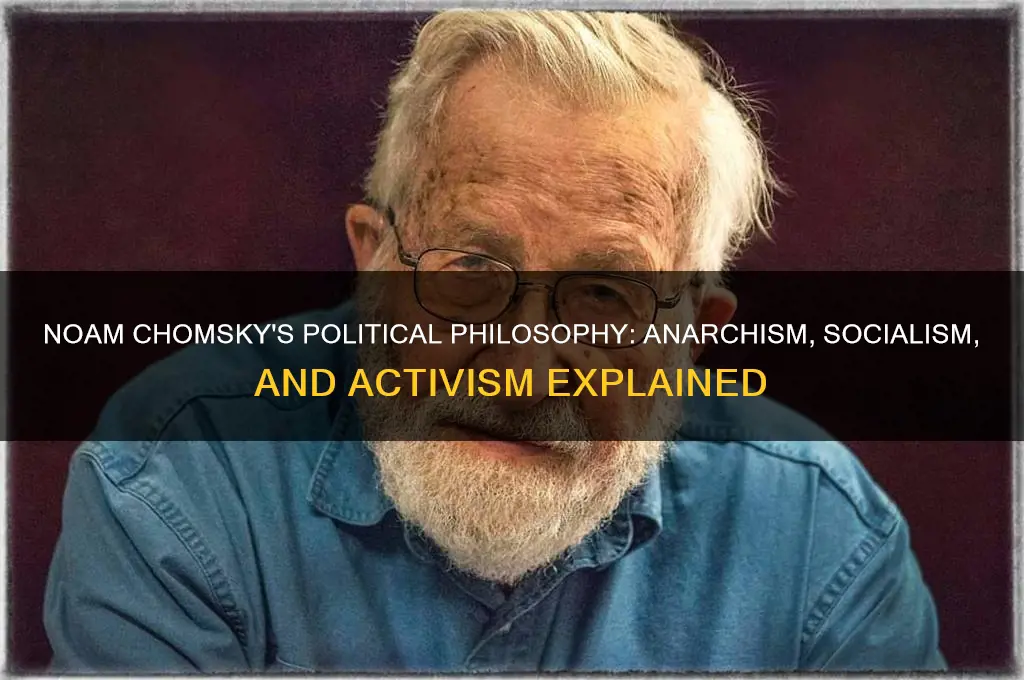 what is noam chomsky politically