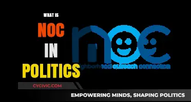 Understanding the Role of NOC in Political Decision-Making Processes