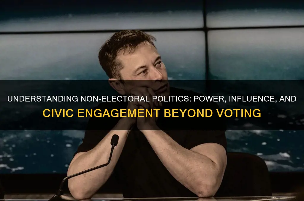 what is non electoral politics