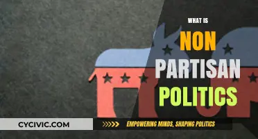 Understanding Non-Partisan Politics: A Guide to Neutral Governance