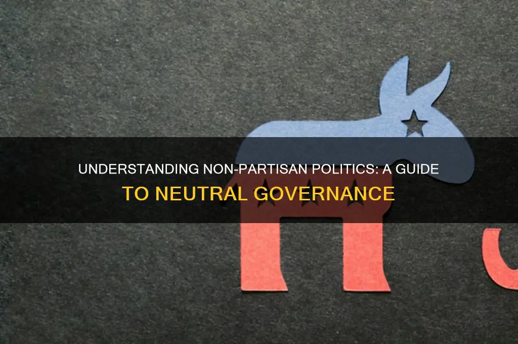 what is non partisan politics