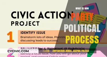 Understanding Non-Party Political Processes: A Comprehensive Guide to Civic Engagement