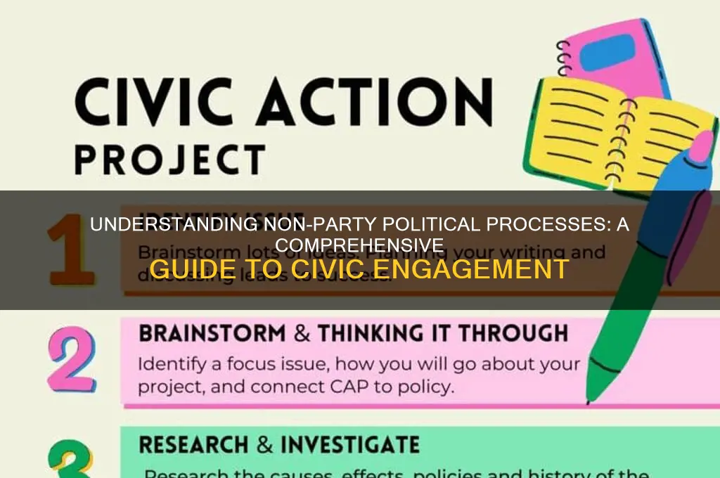 what is non party political process
