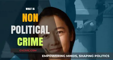Understanding Non-Political Crimes: Definitions, Examples, and Legal Implications