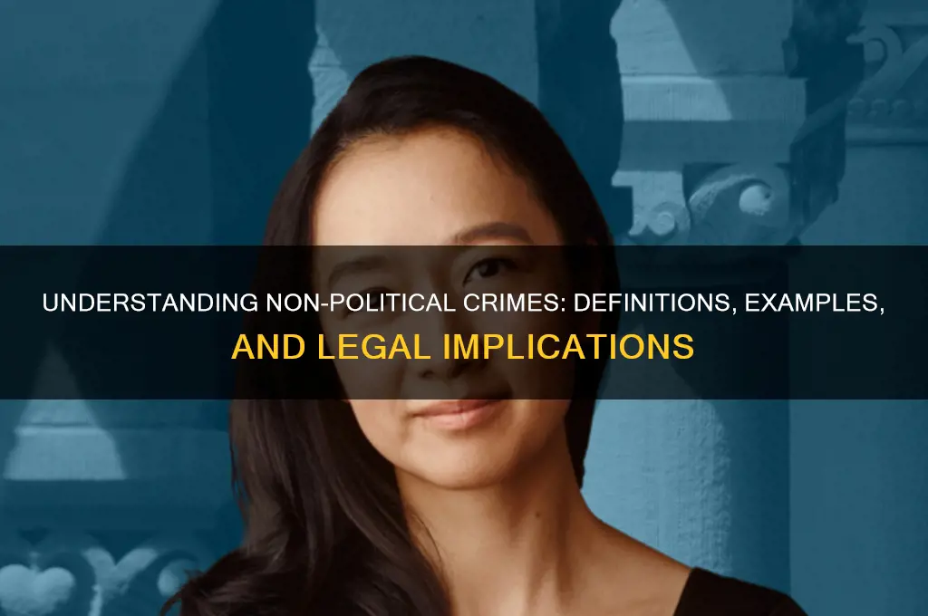 what is non political crime