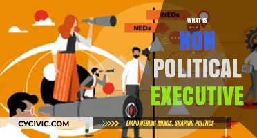 Understanding the Role of the Non-Political Executive in Governance