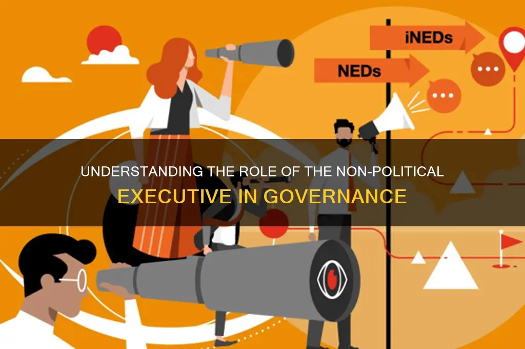 what is non political executive