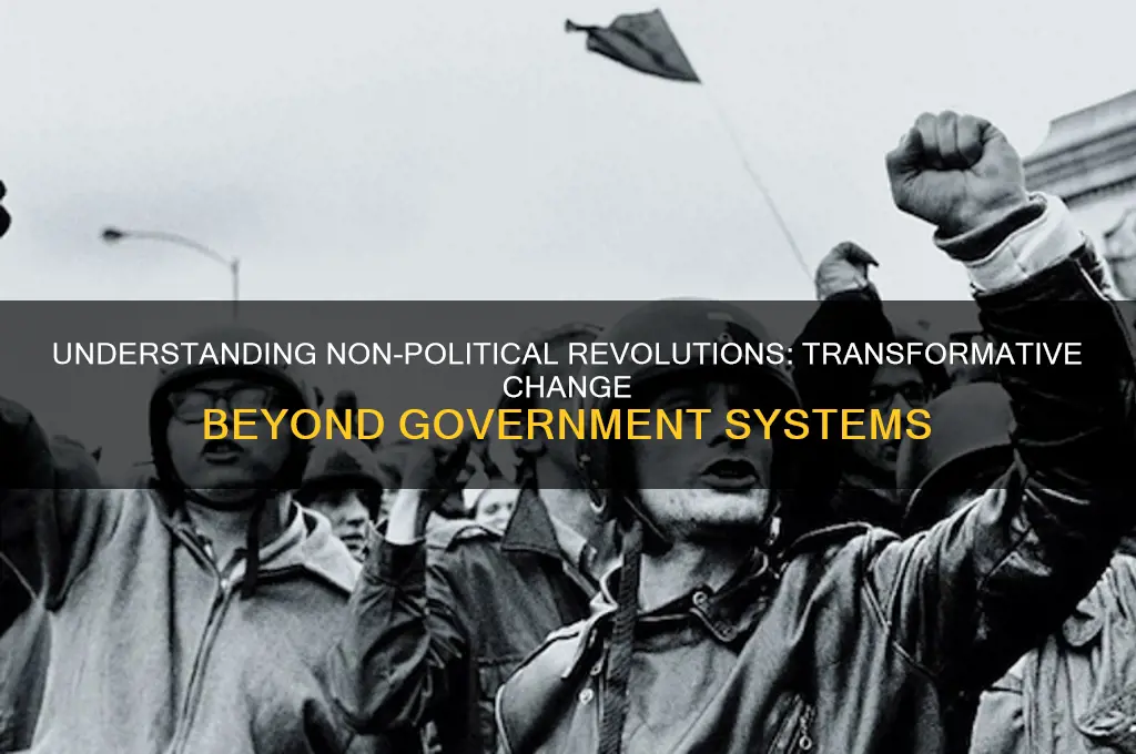 what is non political revolution
