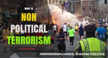 Understanding Non-Political Terrorism: Causes, Tactics, and Global Implications