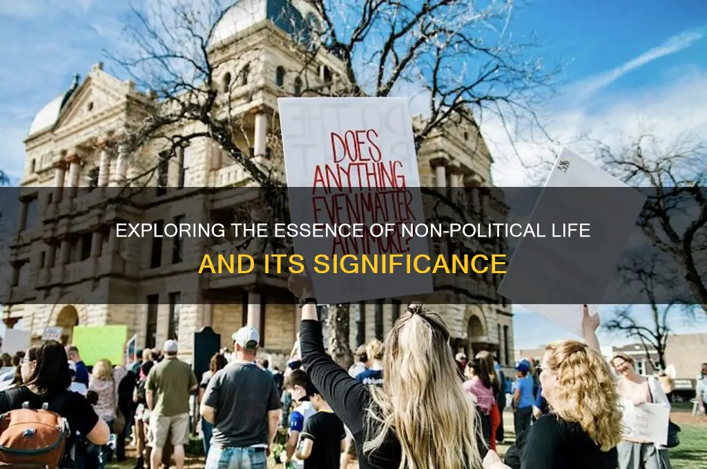 what is non political