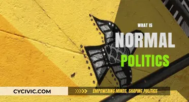 Understanding Normal Politics: A Comprehensive Guide to Everyday Political Dynamics