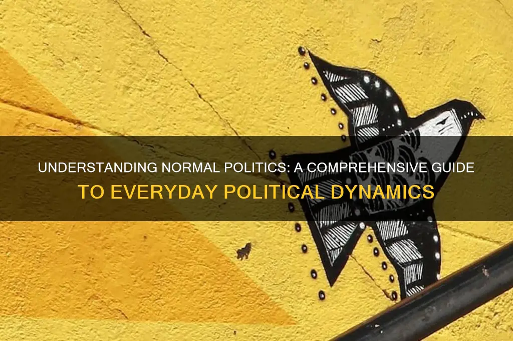 what is normal politics