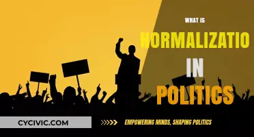 Understanding Political Normalization: Balancing Power and Stability in Governance