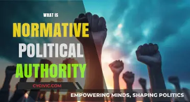 Understanding Normative Political Authority: Foundations, Legitimacy, and Governance