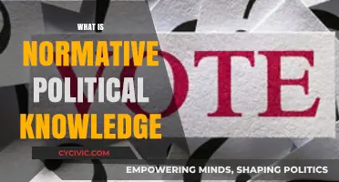 Understanding Normative Political Knowledge: Principles, Values, and Governance Explained