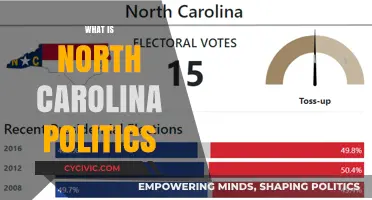 Understanding North Carolina's Political Landscape: Trends, Parties, and Key Issues
