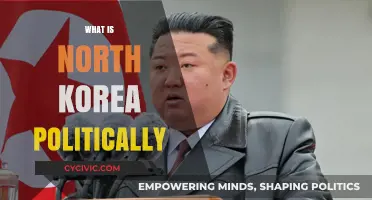 Understanding North Korea's Political System: Juche Ideology and Authoritarian Rule
