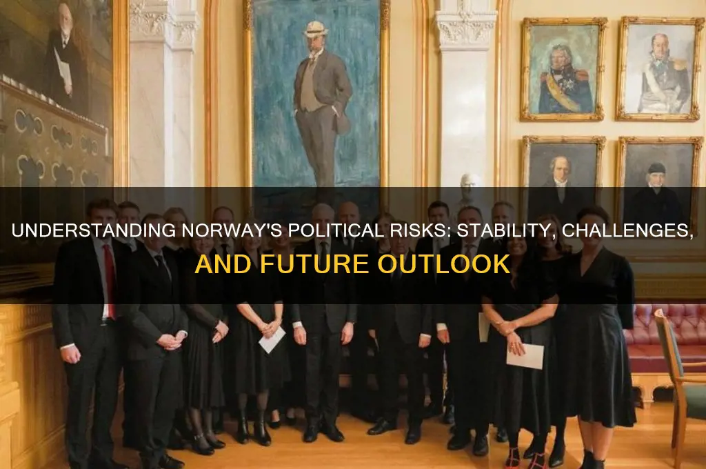 what is norway political risks