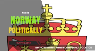 Understanding Norway's Political System: Democracy, Monarchy, and Social Welfare