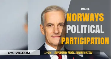 Norway's Political Participation: Democracy, Engagement, and Civic Involvement Explained