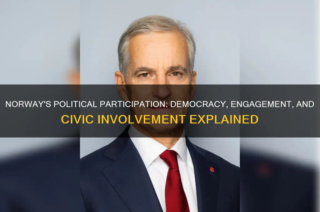 what is norways political participation