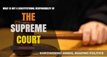 The Supreme Court: Beyond Constitutional Responsibility