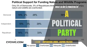 Beyond the Role: What Political Parties Don't Actually Do